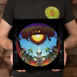 Grateful Dead - Aoxomoxoa 50th Anniversary LP Vinyl Record (Picture Disc)