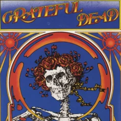 Grateful Dead - Grateful Dead 2xLP Vinyl Record
