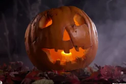 Halloween (1978) - Jack-O-Lantern 1:1 Scale Life-Size Prop Replica
