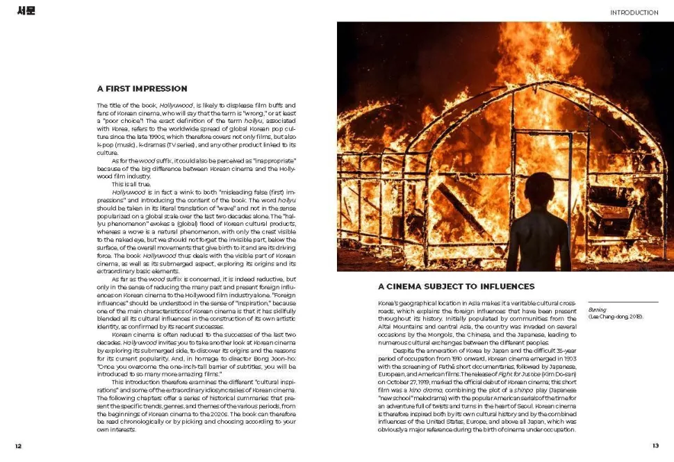 Hallyuwood: The Ultimate Guide to Korean Cinema by Bastian Meiresonne Hardcover Book