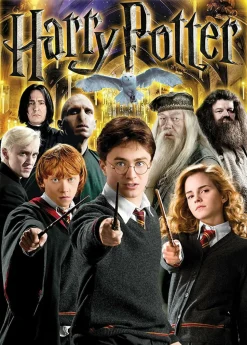 Harry Potter - Collage 1000 Piece Jigsaw Puzzle
