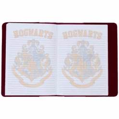 Harry Potter - Gryffindor Varsity 8