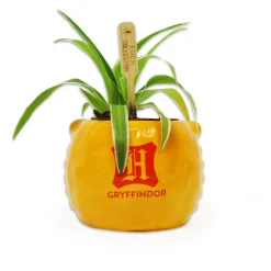 Harry Potter - Gryffindor Lion Mascot Plant Pot