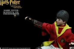 Harry Potter - Harry Potter Quidditch 1/6th Action Figure
