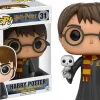 Harry Potter - Harry with Hedwig Pop! Vinyl Figure