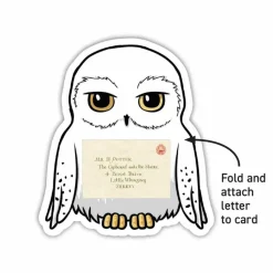 Harry Potter - Owl Post Super Valentine's Day Card Box Set