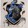 Harry Potter - Ravenclaw Tea Towel
