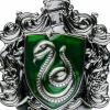 Harry Potter - Slytherin Crest Metal Magnet