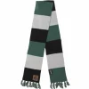 Harry Potter - Slytherin Patch Striped Scarf