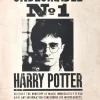 Harry Potter - Undesirable No. 1 A3 Tin Sign