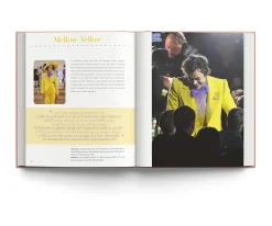 Harry Styles - Harry Styles and the Clothes He Wears Hardcover Book