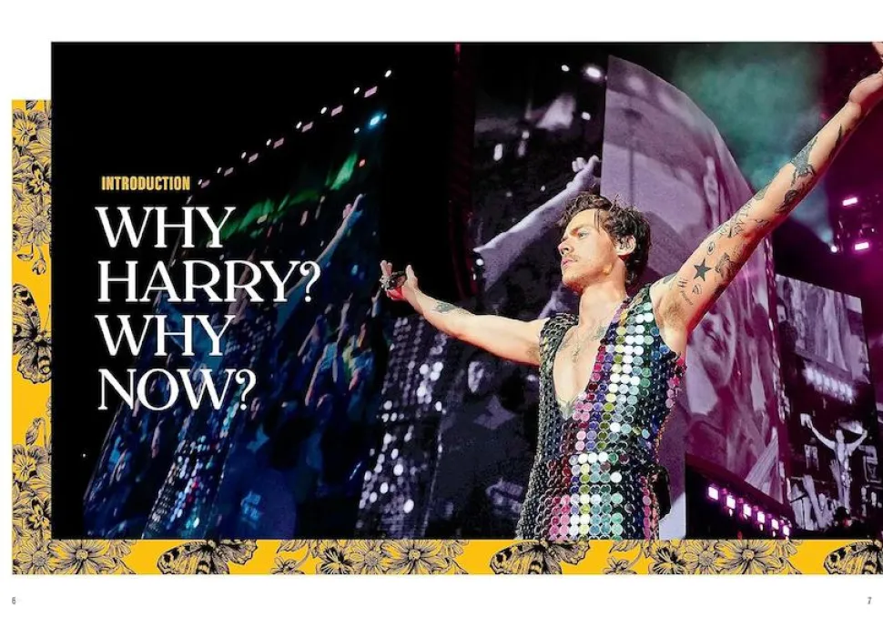 Harry Styles by Alex Bilmes Hardcover Book