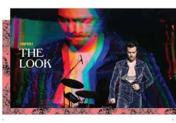 Harry Styles by Alex Bilmes Hardcover Book