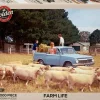 Holden - On The Farm 1000 Piece Jigsaw Puzzle