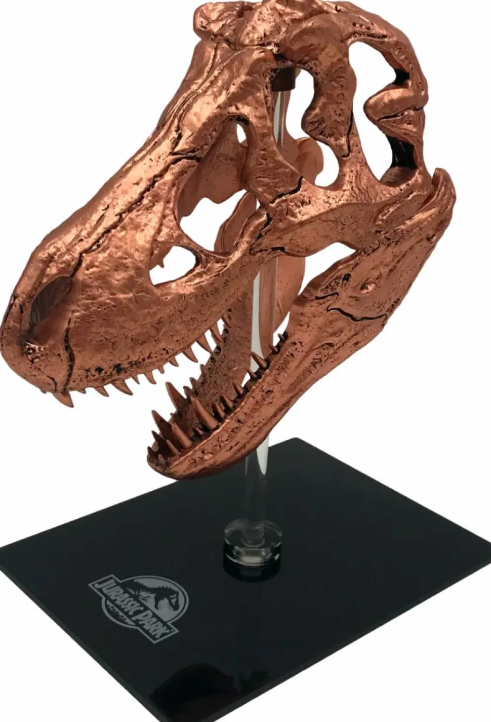 Jurassic Park - Bronze T-Rex Skull 6" Scaled Prop Replica