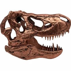 Jurassic Park - Bronze T-Rex Skull 6