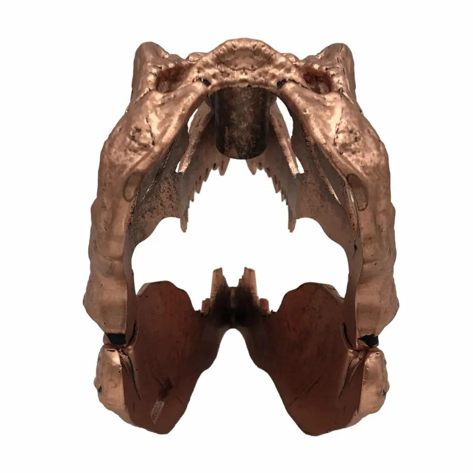 Jurassic Park - Bronze T-Rex Skull 6" Scaled Prop Replica