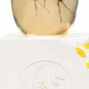 Jurassic Park - Elephant Mosquito in Amber 1:1 Scale Life-Size Replica