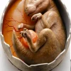 Jurassic Park - Hadrosaur Egg Hatching 30th Anniversary 5" Maquette Statue