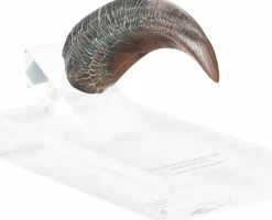Jurassic Park - Screen Used Velociraptor Hand Claw Reproduction 1:1 Scale Life-Size Prop Replica