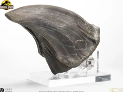 Jurassic Park - Screen Used T-Rex Foot Claw Reproduction 1:1 Scale Life-Size Prop Replica
