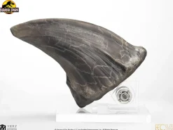 Jurassic Park - Screen Used T-Rex Foot Claw Reproduction 1:1 Scale Life-Size Prop Replica