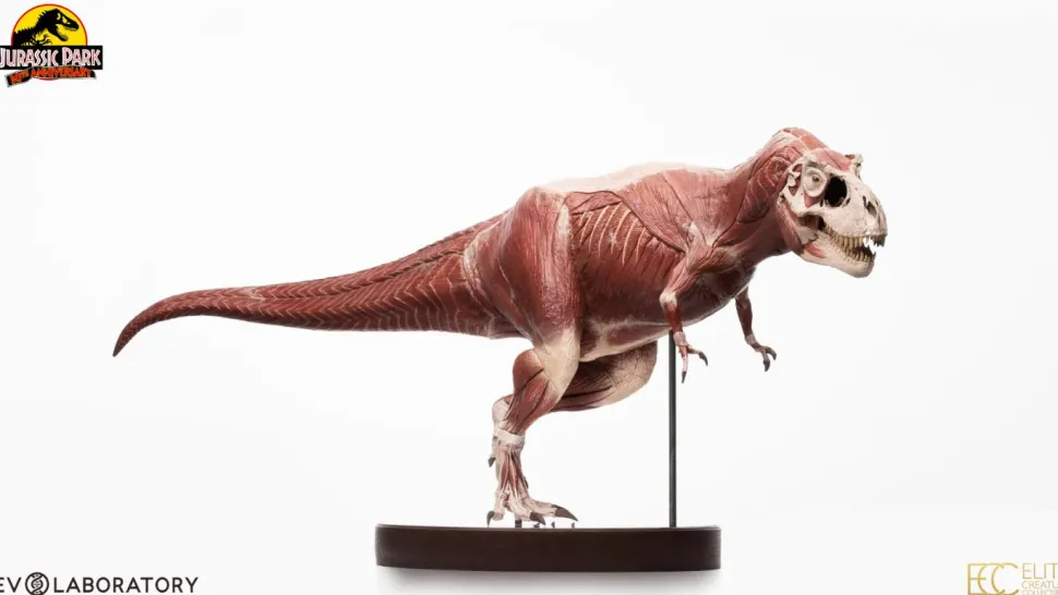 Jurassic Park - T-Rex Anatomy 1/12th Scale Maquette Statue