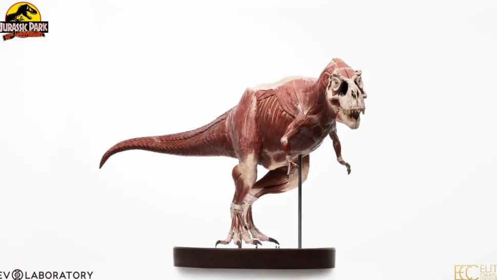 Jurassic Park - T-Rex Anatomy 1/12th Scale Maquette Statue