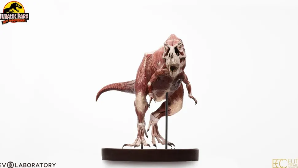 Jurassic Park - T-Rex Anatomy 1/12th Scale Maquette Statue