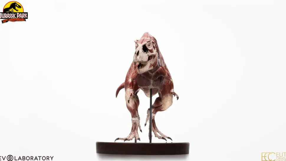 Jurassic Park - T-Rex Anatomy 1/12th Scale Maquette Statue