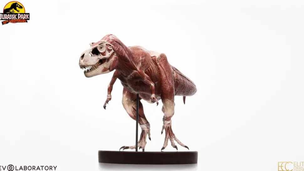 Jurassic Park - T-Rex Anatomy 1/12th Scale Maquette Statue