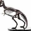 Jurassic Park - T-Rex Skeleton (Visitor Center Rotunda) 30th Anniversary 1/8th Scale Bronze Statue Replica