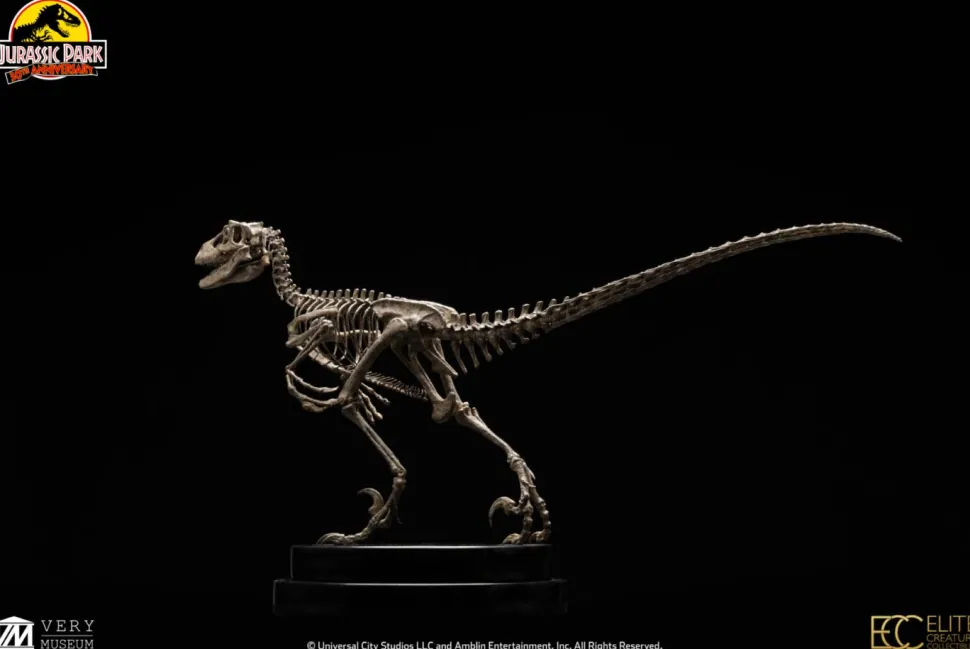 Jurassic Park - Velociraptor Skeleton Bronze 1/8th Scale Statue