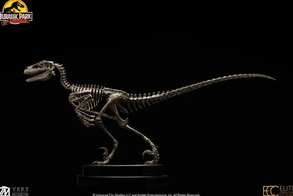 Jurassic Park - Velociraptor Skeleton Bronze 1/8th Scale Statue