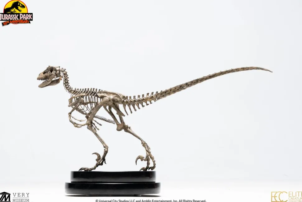 Jurassic Park - Velociraptor Skeleton Bronze 1/8th Scale Statue