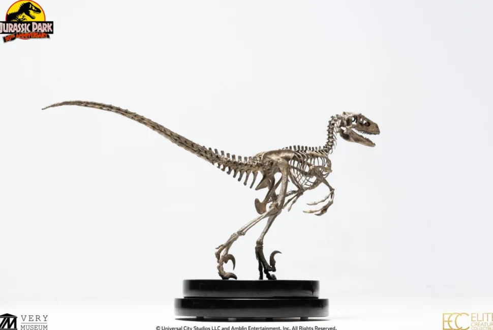 Jurassic Park - Velociraptor Skeleton Bronze 1/8th Scale Statue