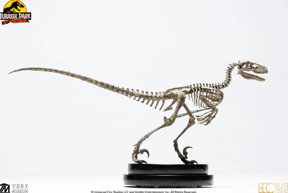 Jurassic Park - Velociraptor Skeleton Bronze 1/8th Scale Statue