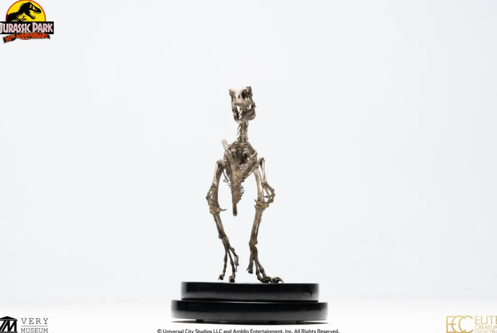 Jurassic Park - Velociraptor Skeleton Bronze 1/8th Scale Statue