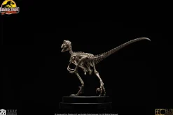 Jurassic Park - Velociraptor Skeleton Bronze 1/8th Scale Statue