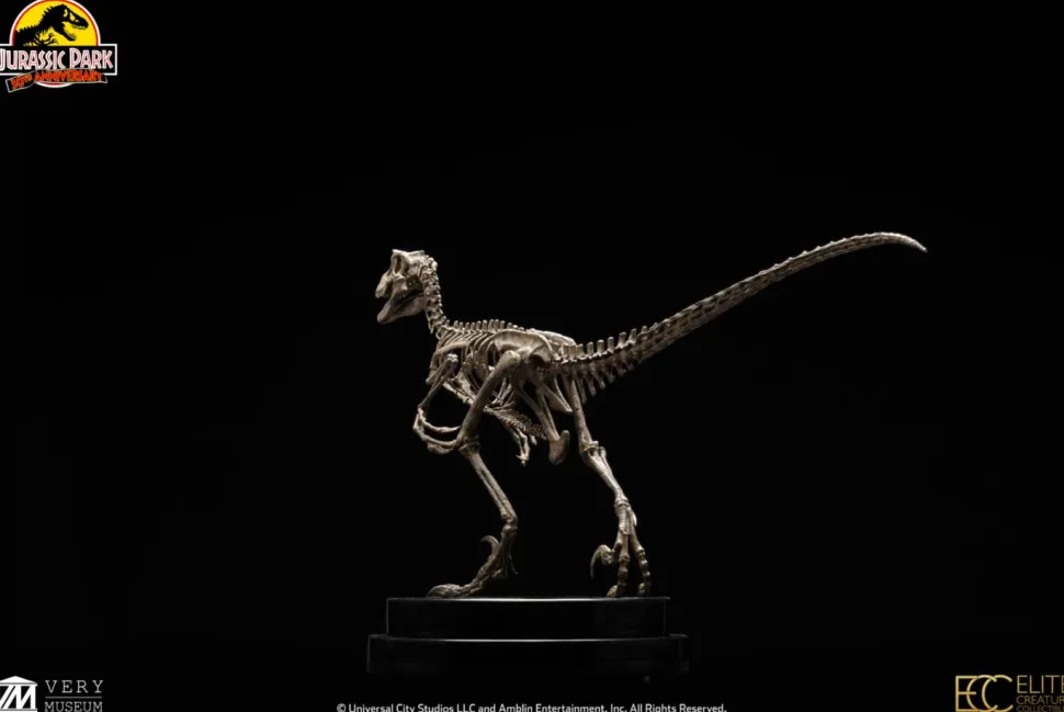 Jurassic Park - Velociraptor Skeleton Bronze 1/8th Scale Statue