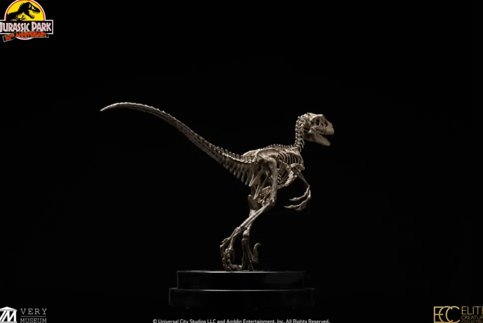 Jurassic Park - Velociraptor Skeleton Bronze 1/8th Scale Statue
