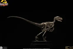 Jurassic Park - Velociraptor Skeleton Bronze 1/8th Scale Statue