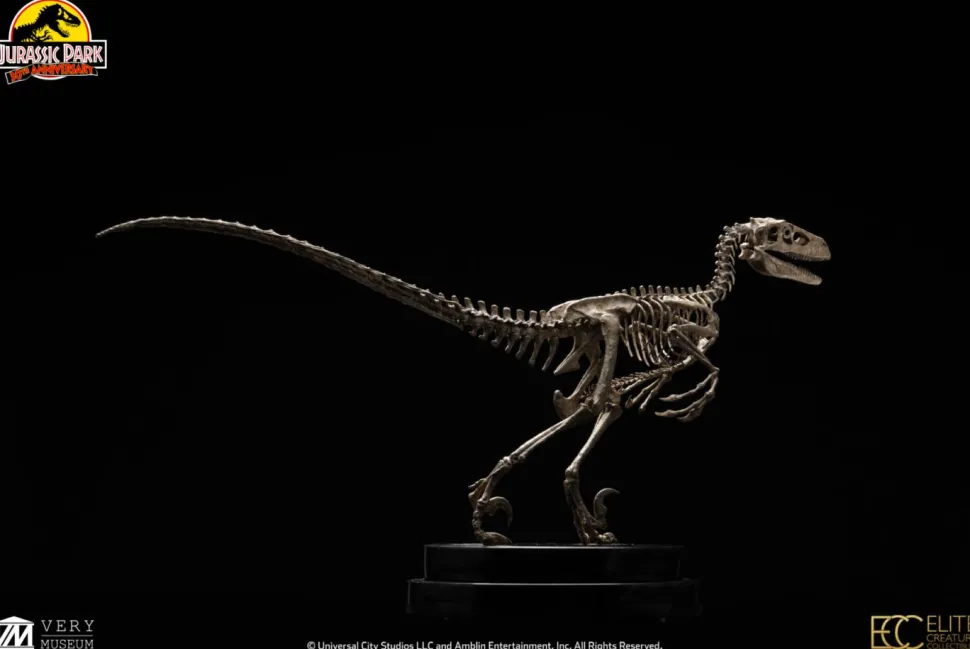 Jurassic Park - Velociraptor Skeleton Bronze 1/8th Scale Statue