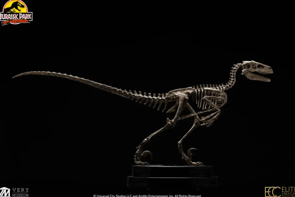 Jurassic Park - Velociraptor Skeleton Bronze 1/8th Scale Statue