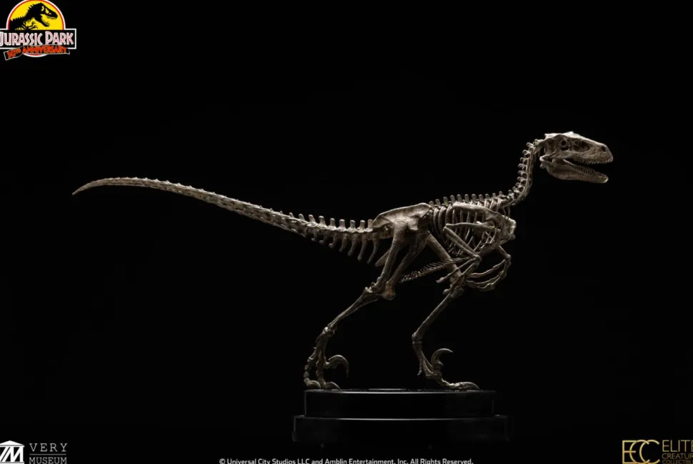 Jurassic Park - Velociraptor Skeleton Bronze 1/8th Scale Statue