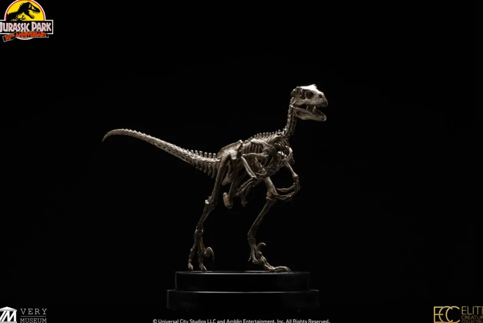 Jurassic Park - Velociraptor Skeleton Bronze 1/8th Scale Statue