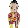 Justice League of America - Shazam XXRay 4” Vinyl Figure by Jason Freeny