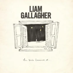 Liam Gallagher - All You’re Dreaming Of… 12” Single Vinyl Record (Etched White Vinyl)