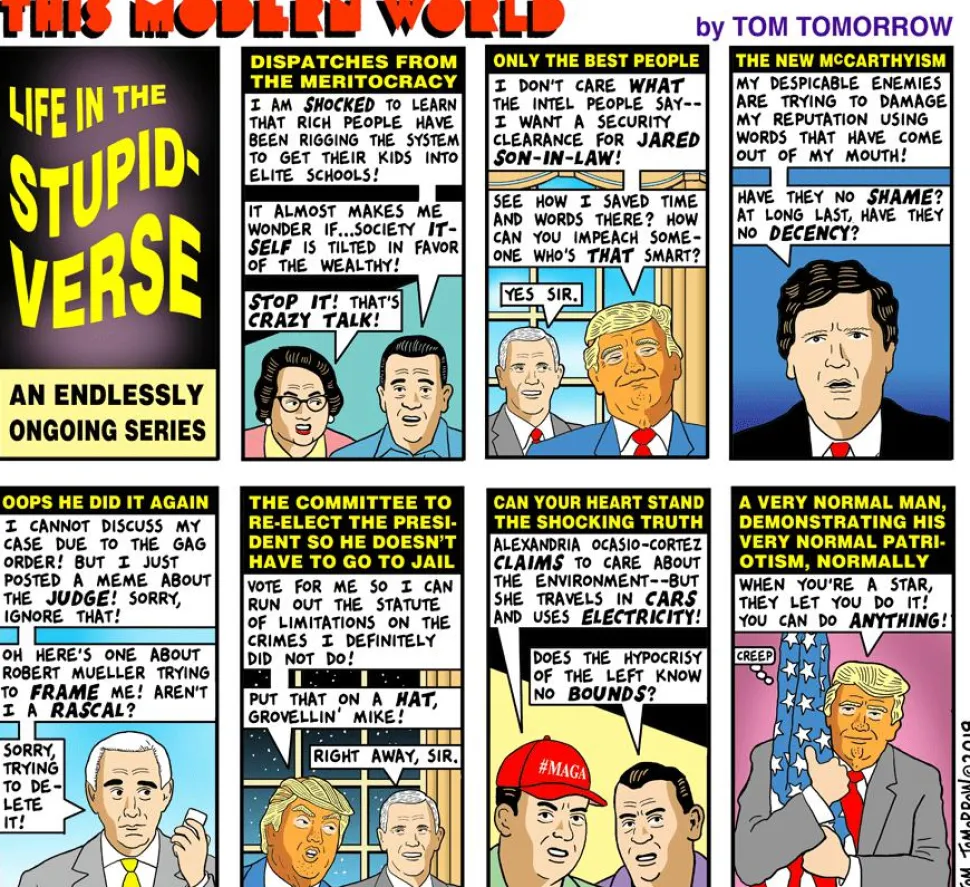 Life in the Stupidverse by Tom Tomorrow Paperback Book