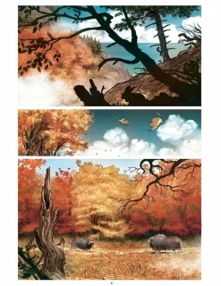 Love: The Fox by Frederic Brremaud Hardcover Book